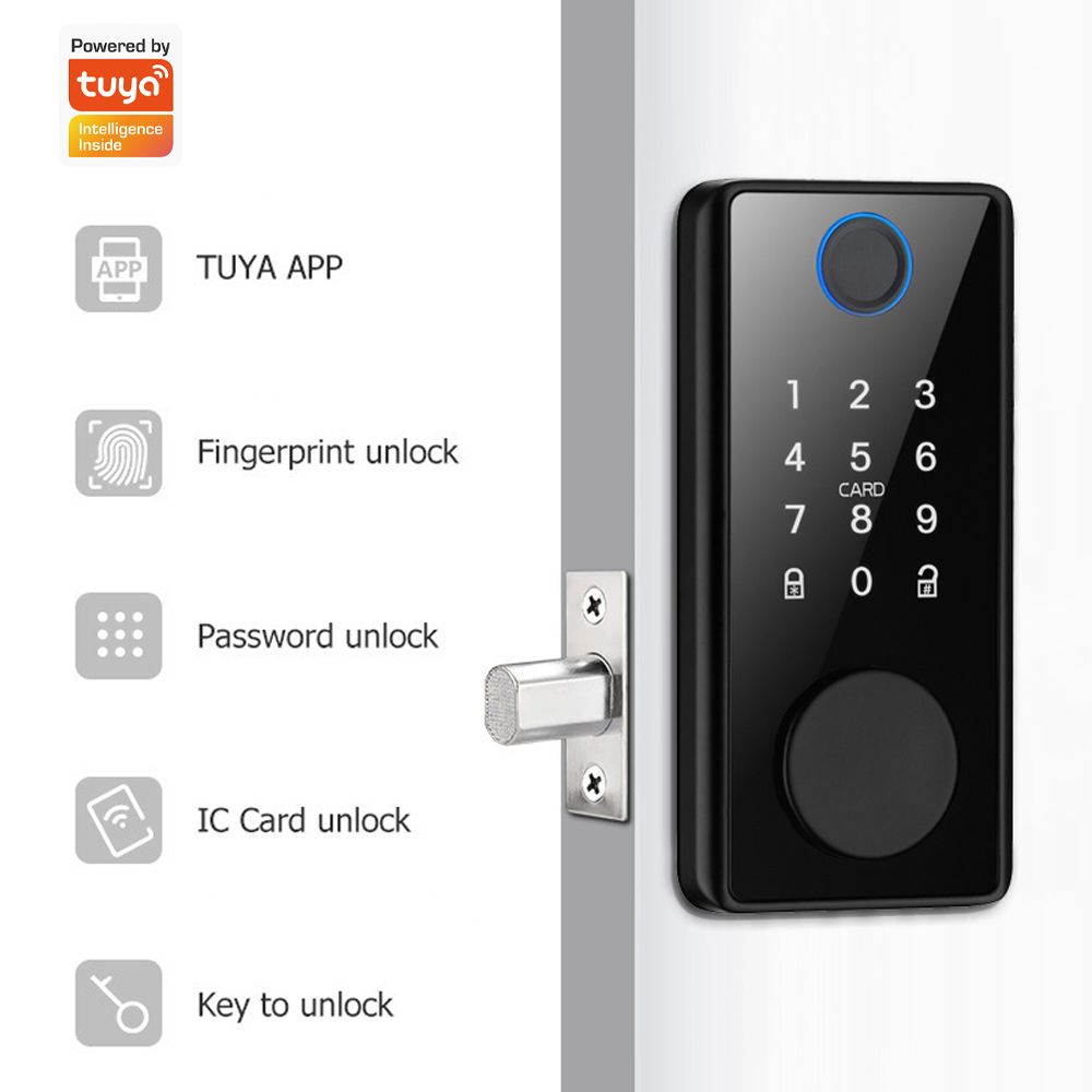 Поддержка приложения Tuya, дис – обзор и цена Smart Home Door Lock